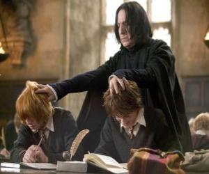 yapboz Profesör Severus Snape, Harry Potter, Ron Weasley inceleyerek